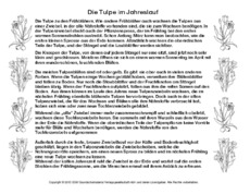 Abschreibtext-Tulpe-SW.pdf